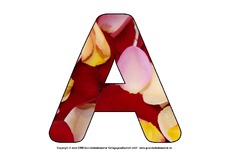 Deko-Buchstaben-Rosenblätter-A-bis-Z.pdf